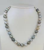 Halsketting PSL Gecertificeerde Multi Tahitiaanse parels -, Handtassen en Accessoires, Nieuw