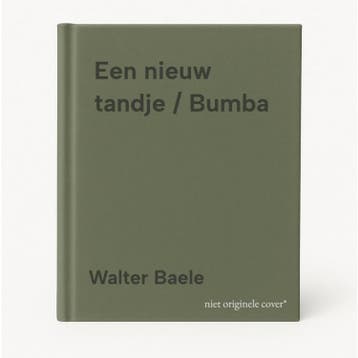 Een nieuw tandje / Bumba 9789462777347 Walter Baele, Verzenden, Gelezen, Walter Baele