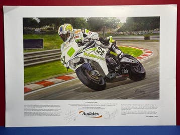 BMW - MotoGP - John Surtees, James Toseland - 2014 - Print, Nieuw