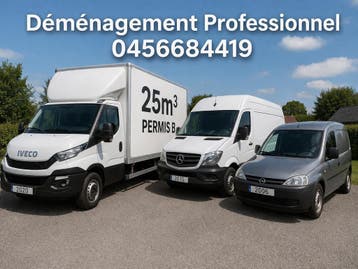 Déménagement Pro  Camionnette Déménageur demenagements