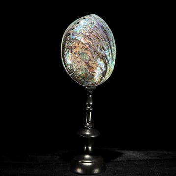 Decoratief ornament - NO RESERVE PRICE - Wonderful Pair of