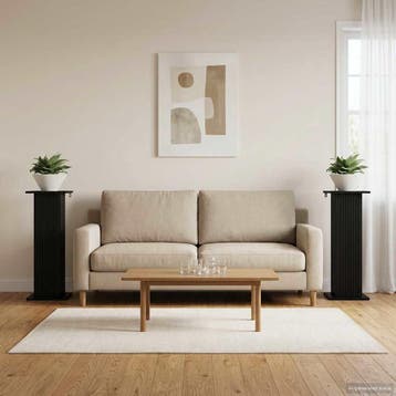 vidaXL Plantenstand 2 st Zwart 30,5 x 30 x 80,5 cm Bewerkt, Verzenden