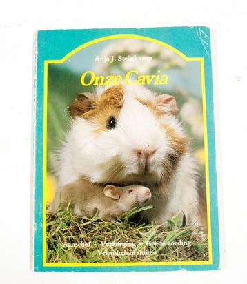 Onze cavia - Steinkamp, Verzenden