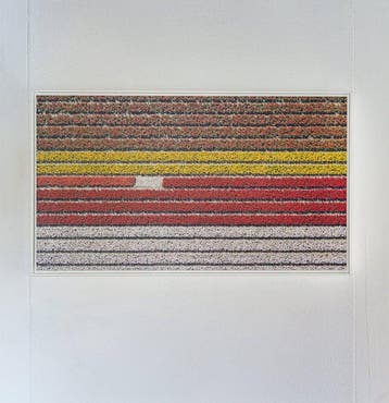 Bernhard Lang - AV_Tulip_Fields_023 - XXL - Framed