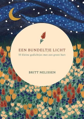 Een bundeltje licht 9789090324814 Britt Nelissen, Verzenden, Britt Nelissen