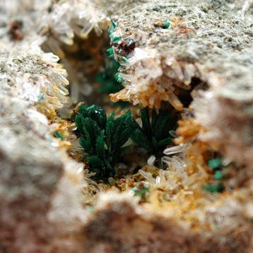 Malachite primaire avec quartz en géode, Île dElbe Géode -