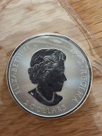 Canada. 2019 Grizzlybär - 1/2 oz (.999) Silber (Zonder