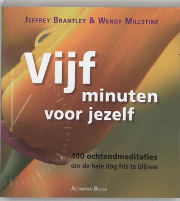 Vijf minuten voor jezelf 9789069637013 Wendy Millstine, Boeken, Verzenden, Gelezen, Wendy Millstine