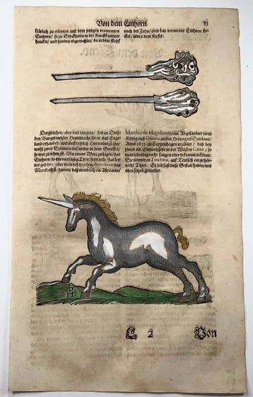 Conrad Gessner [1516-1565]; Monogrammed; folio with woodcut