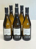 2025 Domaine Regis Jouan. - Sancerre - 6 Bouteilles (0,75 L), Nieuw