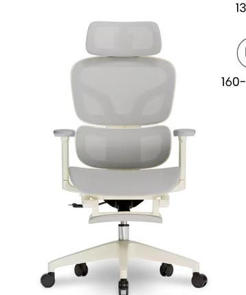 FLEXISPOT Ergonomische Mesh-bureaustoel, met uittrekbare voe, Verzenden