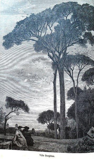 Fréderic Reiset (1815-1891) - Rome: ses eglises, ses