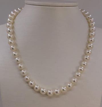 Collier Argent, Perles Akoya brillantes de 8×8,5 mm