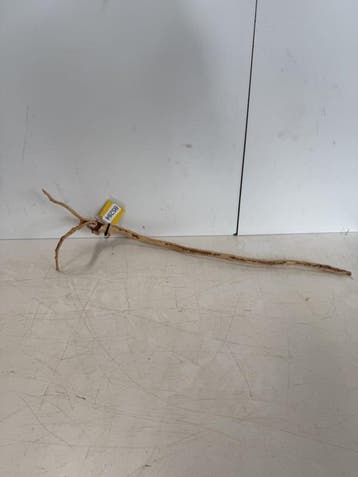Boutique Stump Selected BS284 - 84x19x16cm (Natuurlijk hout), Ophalen of Verzenden, Plant(en), Steen of Hout