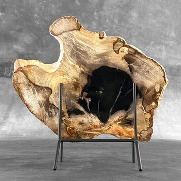 C-Stunning grande tranche de bois pétrifié sur un socle