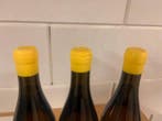 2023 Maison Glandien, La Cruci - Vin de France Vin de France