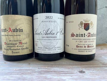 1985 Dupard Aîné 2022 Marc Colin 1° CruLes Frionnes &, Verzamelen, Wijnen, Nieuw