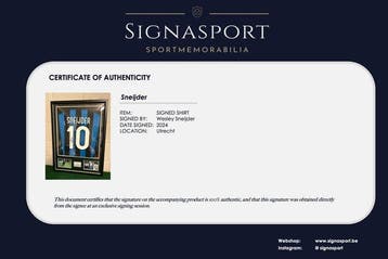 Inter - Italiaanse voetbal competitie - Sneijder -, Nieuw