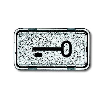ABB Busch-Jaeger Key Symbol for 2106 IP44 Rocker Switch -, Verzenden