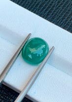 Zonder minimumprijs - 1 pcs Groen, Blauw Grandidieriet -, Nieuw