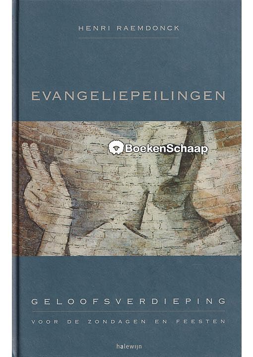 Evangeliepeilingen (NIEUW BOEK), Boeken, Godsdienst en Theologie, Gelezen, Verzenden