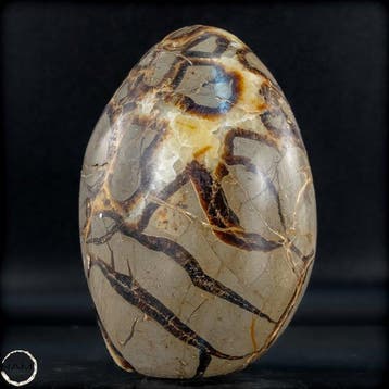 Natuurlijke Septarien-vrijvorm – een geologisch kunstwerk
