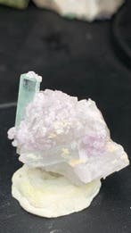 Tourmaline naturelle Cristal avec mica sur quartz - Hauteur
