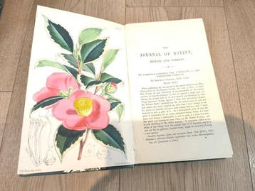 Dr. Berthold Seemann - The Journal of Botany, British and