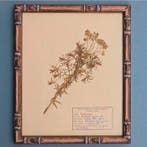 Wanddecoratie (4) - Scuola di Agricoltura di Grangeneuve -