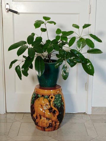 Kruk - Keramiek - China - Bijzettafel, plantentafel (Zonder