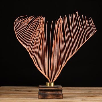 Corail fouet de mer sur socle en bois - Ellisella Grandis -, Collections