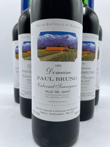 1995 Domaine Paul Bruno, Valle del Maipo - Maipo Valley - 6