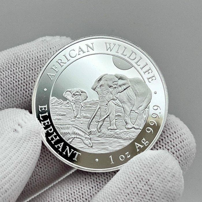Somalië. 100 Shilling 2026 – African Wildlife Series –, Postzegels en Munten, Munten | Europa | Niet-Euromunten