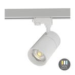 3-Fase - railspot - Rosalin - 10w - wit - CCT switch - dimb, Verzenden
