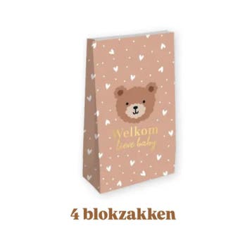 4x Blokbodem zak Little Bears - Maat L - Welkom Little Baby, Verzenden, Nieuw, Cadeauzakje