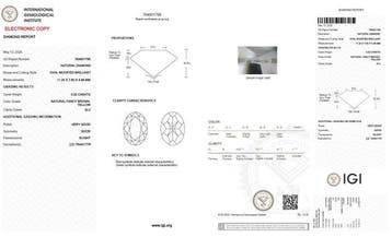 1 pcs Diamant (Couleur naturelle) - 3.02 ct - Oval - Fancy, Bijoux, Sacs & Beauté, Pierres précieuses