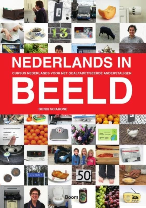 Nederlands in beeld 9789085067214 Bondi Sciarone, Boeken, Schoolboeken, Gelezen, Verzenden