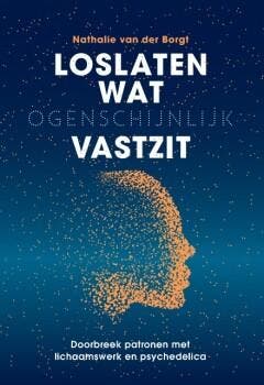 Loslaten wat ogenschijnlijk vastzit 9789493394629, Verzenden, Nathalie van der Borgt