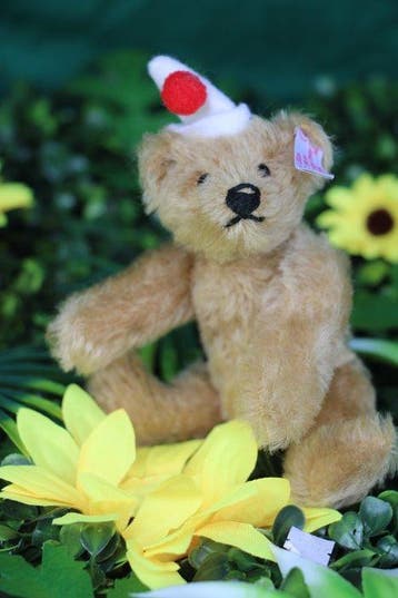 Steiff: Teddybeer Clowny, miniatuur, 13cm, 2006 - Ours en
