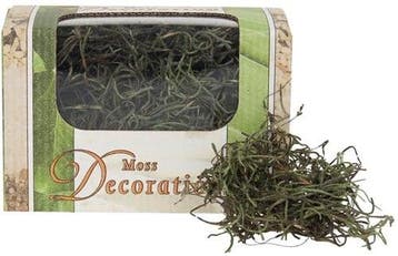 Tillandsia spaansmos forestmos mosgroen 20 gram