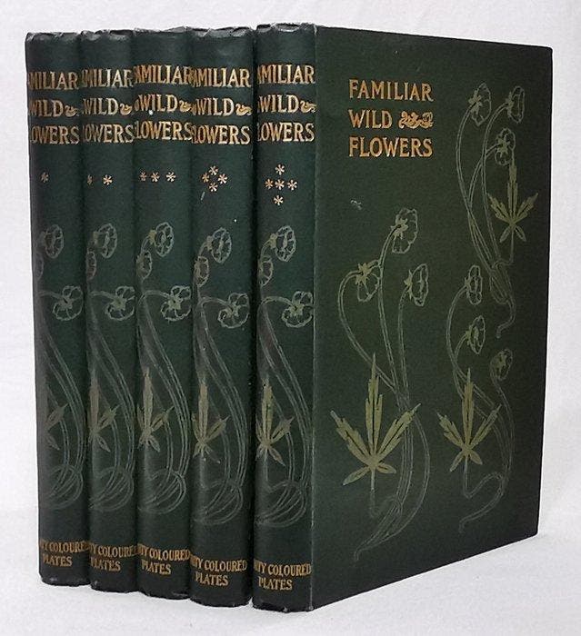F. Edward Hulme - Familiar Wild Flowers (With 200 Colour, Antiquités & Art, Antiquités | Livres & Manuscrits
