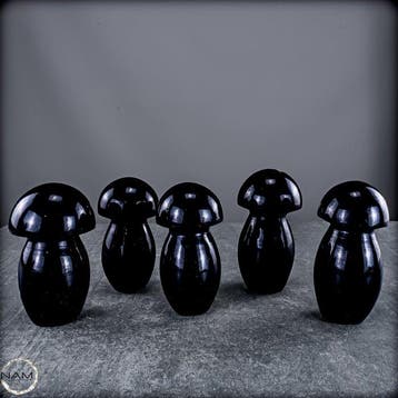 Set de champignons en tourmaline noire – 5 champignons en