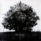 Aleix Albareda - Xiu Cent catorze