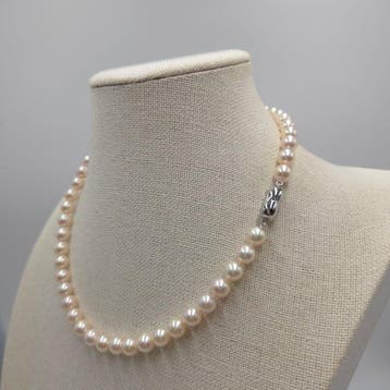 Halsketting Zilver Parel - Akoya 8,0mm 17,7in, Handtassen en Accessoires, Nieuw