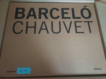 Miquel Barceó (1957) - Cahier de félins