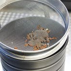 Datona Zeef voor straalmiddel van roestvrijstaal - Datona, Ophalen of Verzenden, Nieuw