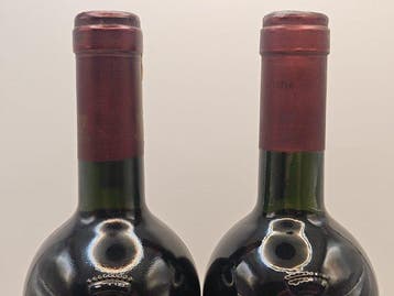 1995 & 1997 Banfi - Brunello di Montalcino - 2 Bouteilles, Verzamelen, Nieuw