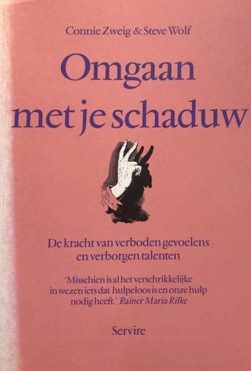 Omgaan met je schaduw 9789063255374 C. Zweig, Boeken, Verzenden, Zo goed als nieuw, C. Zweig