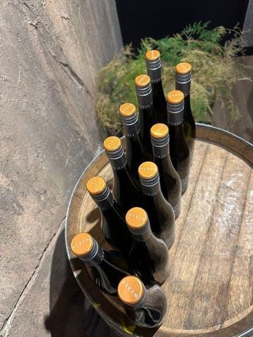 2022 Udo Weber Niederhäuser Terroir - Nahe - 12 Flessen, Verzamelen, Nieuw