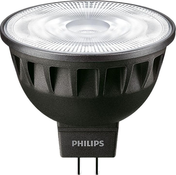 Philips Master LED-lamp - 35861400, Bricolage & Construction, Éclairage de chantier, Envoi